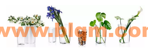 插鲜花的湖泊玻璃花瓶